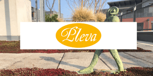 grafika ke článku Pleva